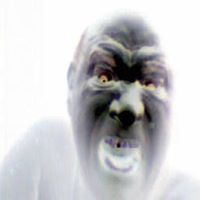 Robert Ledford Photo 44