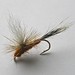 John Ruff Photo 9