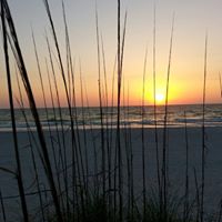 Sue Jones Photo 15