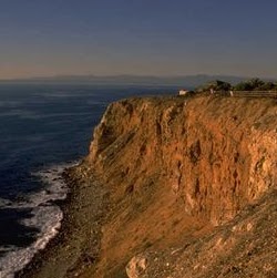 Carol Hopper Photo 20