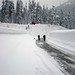 Steven Snow Photo 41
