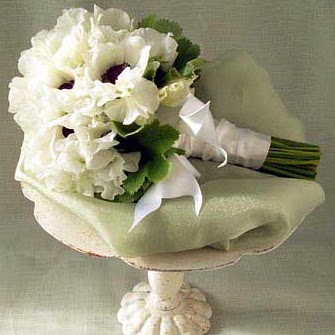 Michelle Mcmahon Photo 26