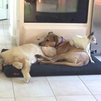 Kathy Matthews Photo 35