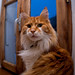 Greg Rupert Photo 10