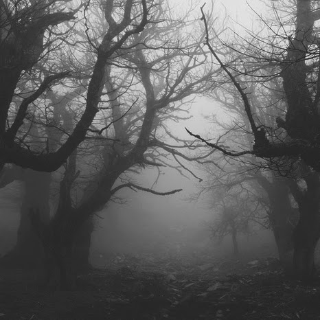 Cecilia Green Photo 7