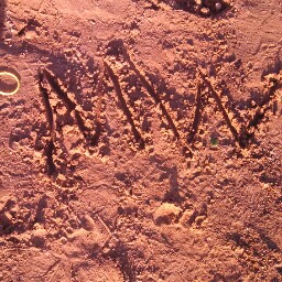 Meagan Wyatt Photo 2