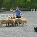 Nancy Starkey Photo 28