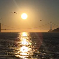 Julian Small Photo 13