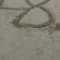 Yin Zhao Photo 31 Yin Zhao Photo 31