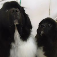 Meredith Evans Photo 32