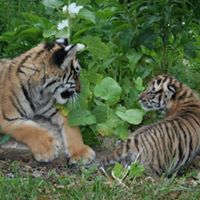 Eileen Carroll Photo 21