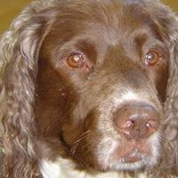 Dorothy Nicholson Photo 21