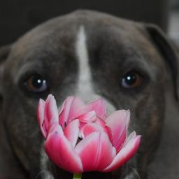 Joyce Hendriks Photo 1