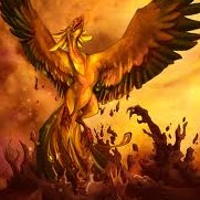 Kyle Osborne Photo 18