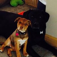 Hope Anderson Photo 31