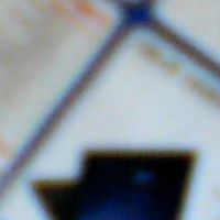 Barney Taylor Photo 9