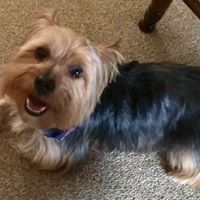 Debbie Coffey Photo 31