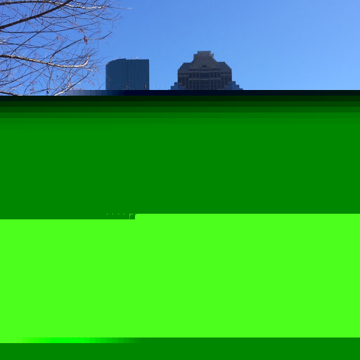 Jill Hickman Photo 7