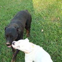 Jennifer Pendley Photo 9