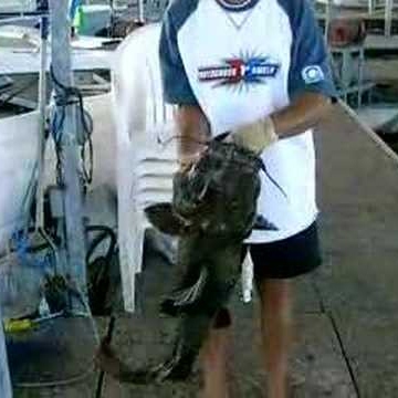 Jeffrey Orr Photo 24