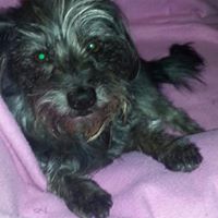 Vicki Edgington Photo 7