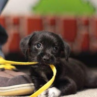 Maria Farris Photo 7