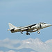 Douglas Hawk Photo 23