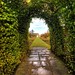 Howard Rose Photo 43