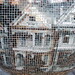 Alan Roth Photo 23