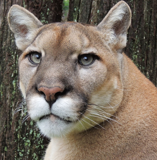 Danielle Lucas Photo 35