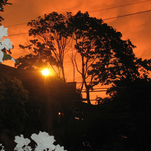 Julia Barlow Photo 14