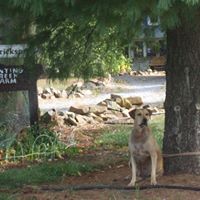 Judy Hendrickson Photo 23