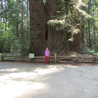 Lloyd Lancaster Photo 6