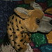 James Day Photo 39
