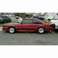 Christian Simms Photo 28