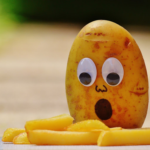 Ralph Werner Photo 16