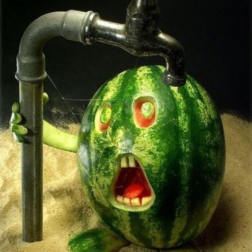 Mark Dougherty Photo 53