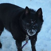 Barbara Redding Photo 16