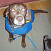 Charles Winters Photo 35