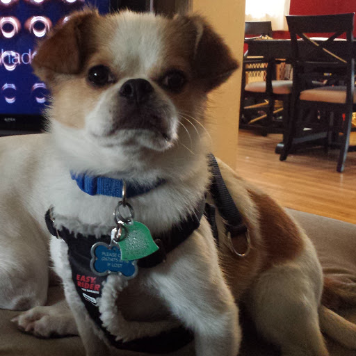 Crystal Pritchett Photo 9