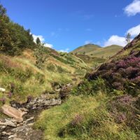 Steve Barclay Photo 33