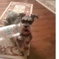 Ann Schafer Photo 9