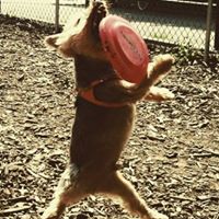 Steve Collier Photo 19