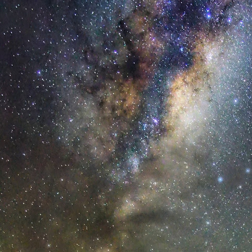 Delroy Foster Photo 3