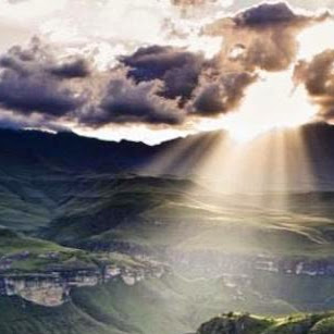 Michelle Huddleston Photo 23