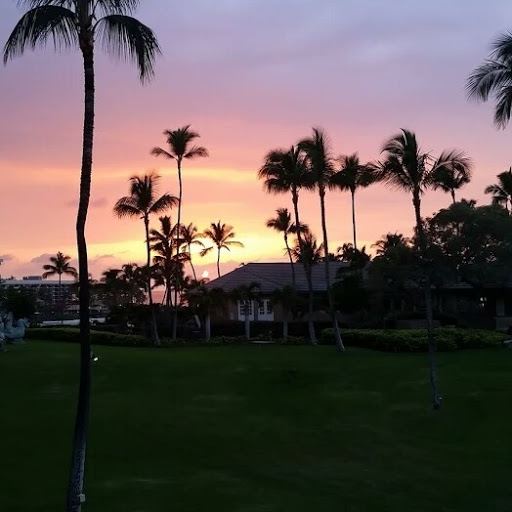 Greg Quinlan Photo 12