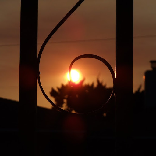 Cory Maxwell Photo 13