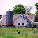 Sue Horton Photo 23