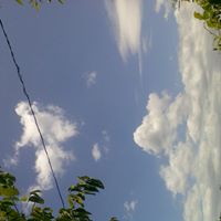 Daniel Higgins Photo 37