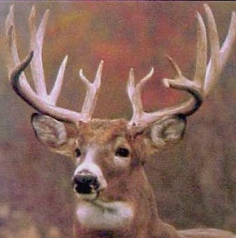 David Applegate Photo 38